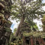 découvrir les secrets de visiter le Cambodge : un itinéraire culturel inoubliable